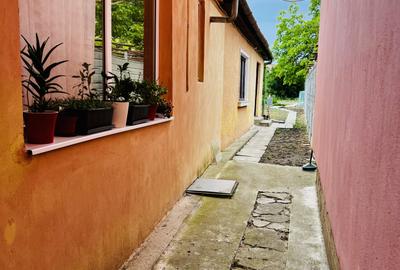 Casa individuala 4 camere, teren 900 mp - zona Bogdanestilor, Timisoara - 7