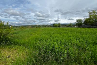 Teren extravilan de vânzare – 2.800 mp, Livezile, județul Bistrița-Năsăud - 2