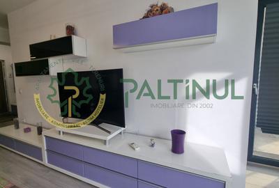 Apartament de inchiriat 2 camere, d-na Stanca, Sibiu - 3