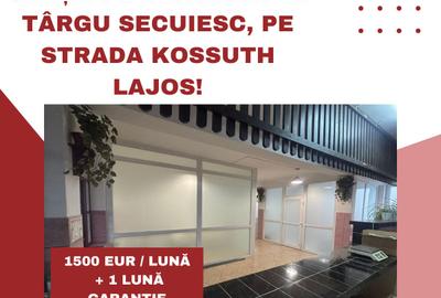 Spații de închiriat în Târgu Secuiesc, pe strada Kossuth Lajos! - 1