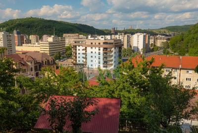 Casa superba zona centrala p+1 Resita - 8