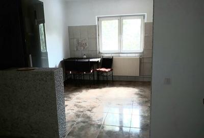 Colentina, Doamna Ghica, Parc Plumbuita, semistradal - 10