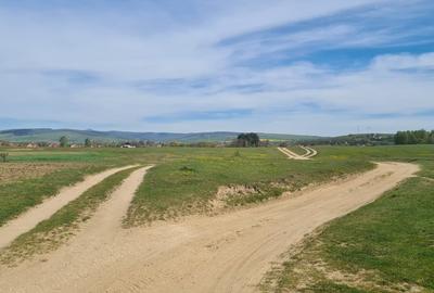 TEREN AGRICOL EXTRAVILAN - RECI - COVASNA - 7