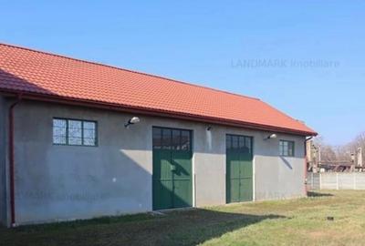 Clădire mixtă cu teren si  hala in Fabric pe malul Begai - 2