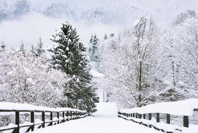 Vila la munte Brasov-Zarnesti, Piatra Craiului, Plaiul Foii, Gym, sauna, jacuzzi - 1