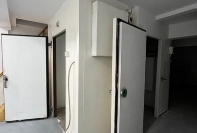 Vilă deosebită Pta Victoriei – HoReCa-Gradinita-Medical-Avocatura - 15