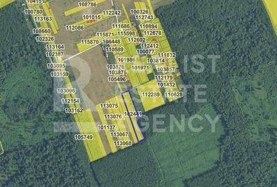 Teren agricol extravilan de 7777 mp, în Snagov