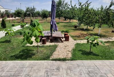 FARA COMISION casa 4 camere 2 bucatarii 2 puturi beci livada 1500mp SAU 3300mp - 42