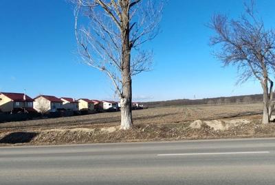 Teren de Vanzare in Balotesti-Moara Vlasiei - 5