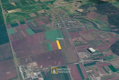 Teren agricol de vanzare Vladimirescu, Arad - 1
