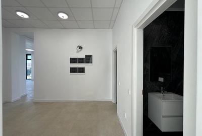 Spatiu comercial intabulat de vanzare, 420mp, Pasaj Bucium - 25