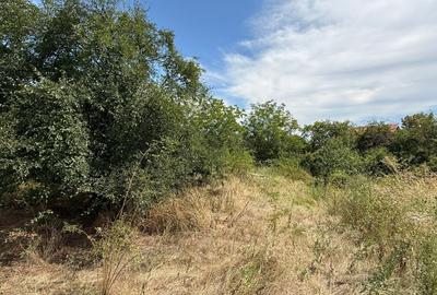 Teren Construcții intravilan de 2179 mp, în Domnești