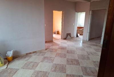 VILA S+P+E+M  cu SPATIU COMERCIAL  central in Nadlac - 17