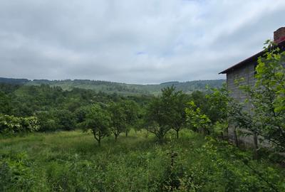 Casa de vanzare Iresti Vrancea - 7