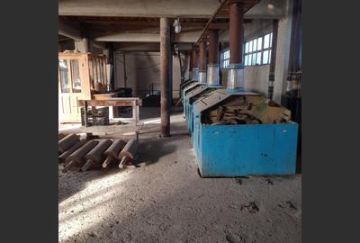 Spatiu Industrial de vanzare - 2