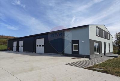 Spațiu industrial, 555 mp în Exterior Nord