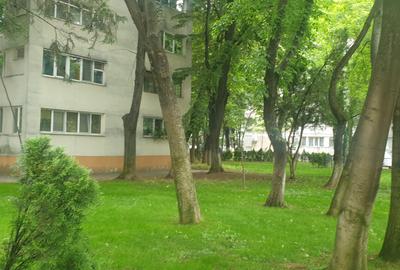 Brancoveanu - Luica, 3 camere, etaj 4, bloc reabilitat termic - 13