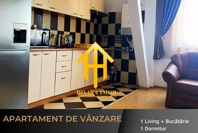 Apartament la mansarda, Vasile Aaron