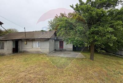Casă cu 5 camere de vanzare (P+M) in comuna Bolotesti si teren 6266 mp - 10
