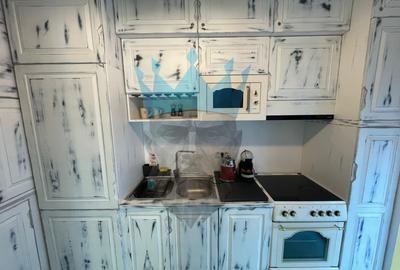 Apartament Duplex 3 Camere Cismigiu - 15