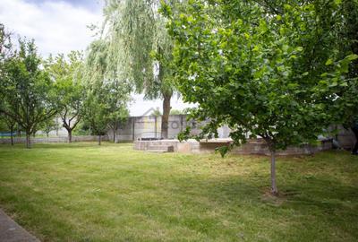 Vila spatioasa pt doua familii 10 camere Clinceni Monumentul Eroilor - 5