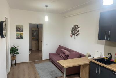 Apartament Ultracentral, Piata Mare- Renovat complet- Pretabil investitie - 4