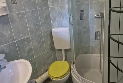 Unirii apartament in  Vila centrala termica  MOBILATA, UTILATA , AMENAJATA - 3