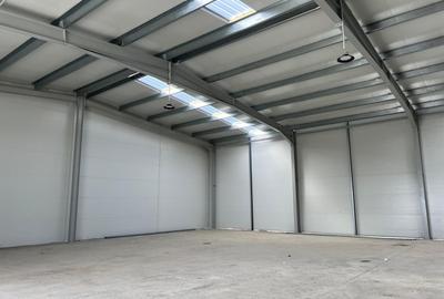 Hale industriale de inchiriat -  500 - 590 mp - Tunari - 2