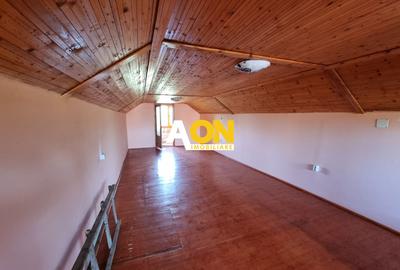 De vanzare casa P+M in stil rustic, 312 mp teren, Barabant - 12