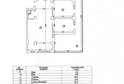 Apartament tip penthouse Hanul cu Peste - 10