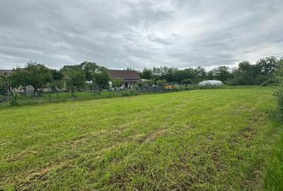 Teren intravilan de constructii 1.500 mp * Padurea Dumbrava Sibiu - 3