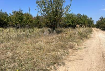 Teren Construcții intravilan de 5744 mp, în Moșoaia