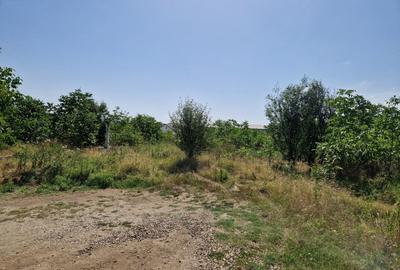 Domnesti - Ciutaci, vanzare 4 loturi de teren intravilan - 14