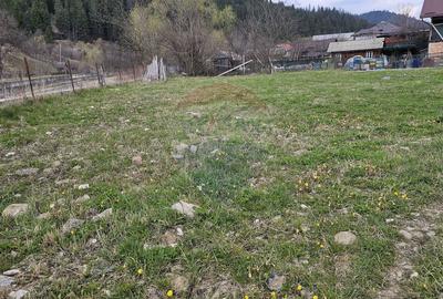 Teren 1,520mp Hangu / Strada Principala - 9