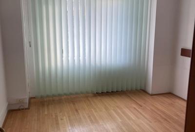 Birou Ultracentral –Casa Poporului, Natiunile Unite, Unirii, Parcul Izvor, - 3
