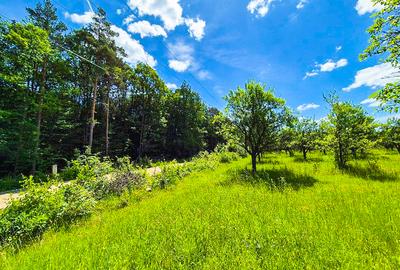 Teren intravilan   Cotmeana Arges - 8