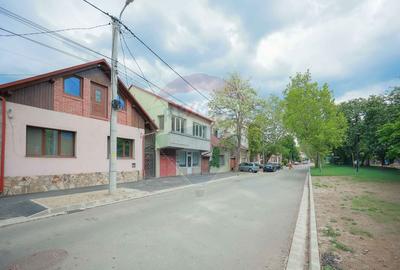 Casă / Vilă cu 3 camere de vânzare în zona Centrală- Parcul Brătianu - 18