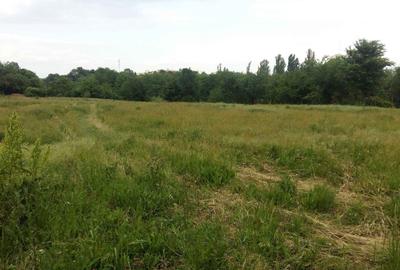 Teren 6000 mp pozitie deosebita lacul Baneasa adancime 140 m - 17