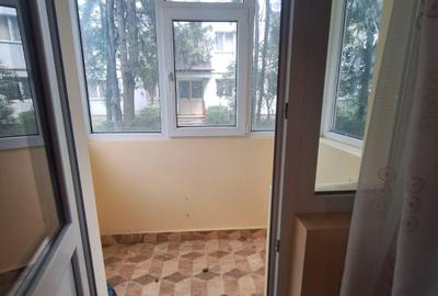 Vanzare Apartament 2 camere  conf 2, parter/4- Republicii (Renel) - 10