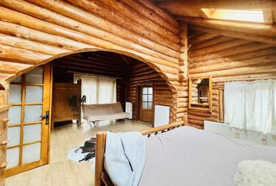 Cabana vânătorească din lemn cu vedere spectaculoasa, langa Castelul Cantacuzino - 22