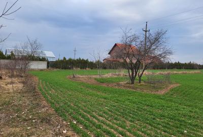 Teren agricol intravilan de 5000 mp, în Siliștea Snagovului