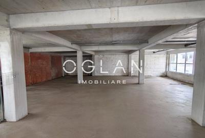 Spatiu Comercial 305 mp+ gradina 178mp, Bieltz/Turnisor - 2