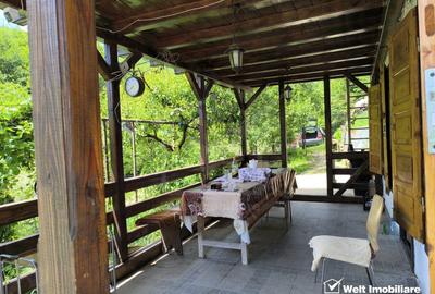 Casa de vacanta, cu lac, 5640 mp teren, Huta, com. Chiuiesti, jud. Cluj - 3
