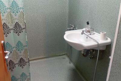 De inchiriat apartament  2 camere zona centrala - 10