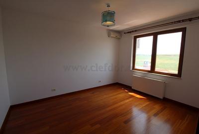 Vila renovata in apropiere de Iancu Nicolae - 13