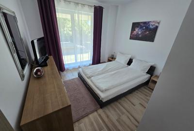 Braytim. Langa Musicescu. Mobilat si utilat. Debara. - 5