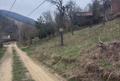 6000 MP intravilan, sat Bistrita, 9 Eur/MP - 1