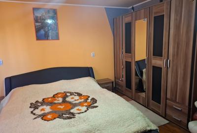 Proprietate mixtă de vânzare în Nădlac – Casă modernă + hală/grajd + teren mare - 13