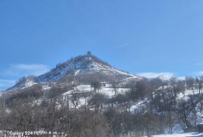 Teren intravilan de vânzare – Zona Gârcina / Ocol - 4