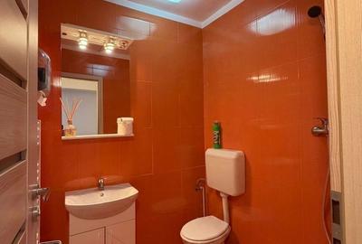 Apartament 3 camere, 2 băi, amenajat,  zona Lipovei - 7